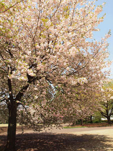 20100421_86shuusei.jpg