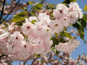 20100421_90shuusei.jpg