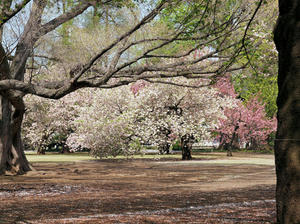 20100421_91shuusei.jpg