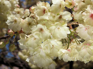 20100421_97shuusei.jpg
