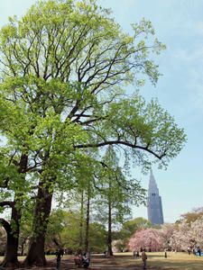 20100421_103shuusei.jpg