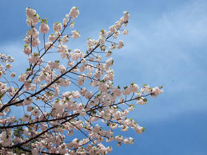 20100421_114shuusei.jpg