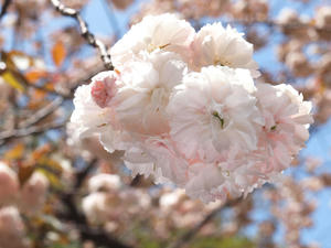 20100421_131shuusei.jpg