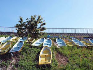 20100509_9shuusei.jpg