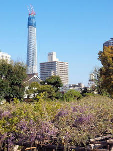 20100425_3shuusei.jpg