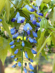 20100425_11shuusei.jpg