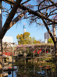 20100425_26shuusei.jpg