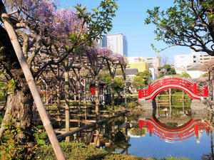 20100425_30shuusei.jpg