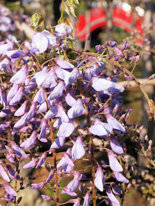 20100425_32shuusei.jpg