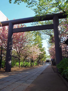 20100425_51shuusei.jpg