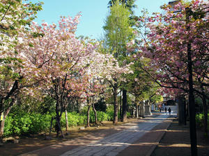 20100425_56shuusei.jpg