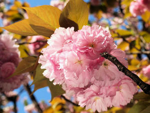 20100425_59shuusei.jpg