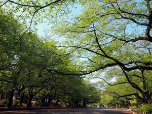 20100425_76shuusei.jpg