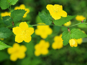20100425_83shuusei.jpg