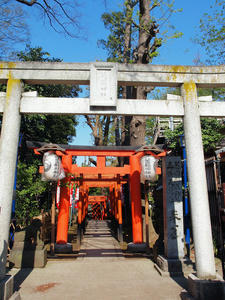 20100425_84shuusei.jpg