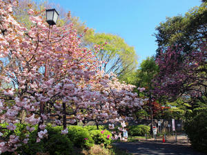 20100425_94shuusei.jpg