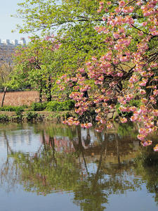 20100425_203shuusei.jpg