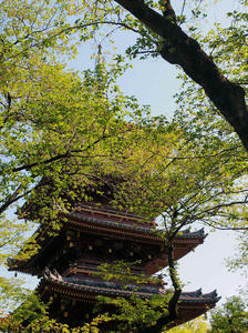 20100425_102shuusei.jpg