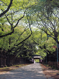 20100425_99shuusei.jpg