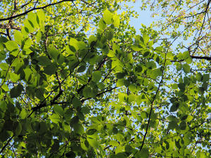 20100425_104shuusei.jpg