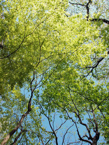 20100425_106shuusei.jpg