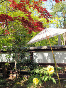20100425_129shuusei.jpg