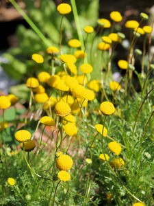 20100425_197shuusei.jpg