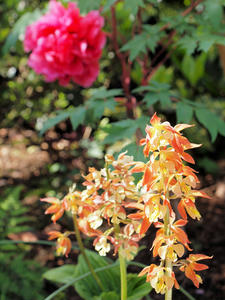 20100425_192shuusei.jpg