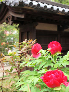 20100503_3shuusei.jpg