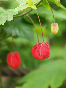 20100503_4shuusei.jpg