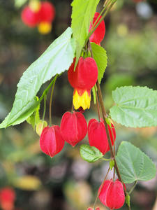 20100503_6shuusei.jpg