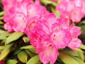 20100503_31shuusei.jpg