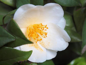 20100503_43shuusei.jpg