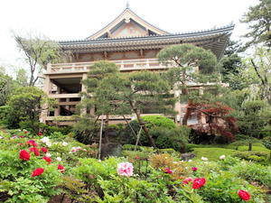 20100503_32shuusei.jpg