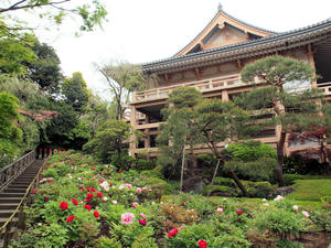 20100503_12shuusei.jpg
