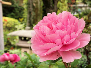 20100503_8shuusei.jpg