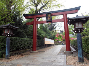 20100503_44shuusei.jpg