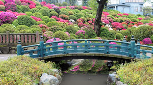 20100503_164shuusei.jpg