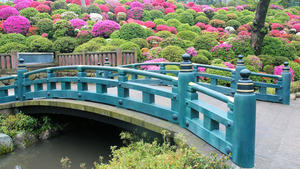 20100503_159shuusei.jpg