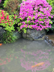 20100503_151shuusei.jpg