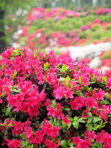 20100503_73shuusei.jpg