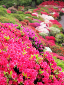 20100503_104shuusei.jpg
