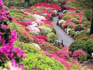 20100503_116shuusei.jpg