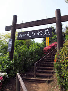 20100503_183shuusei.jpg