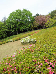 20100503_186shuusei.jpg