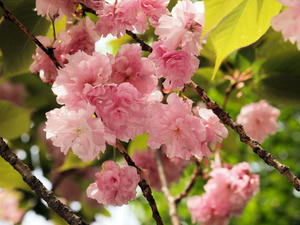 20100503_188shuusei.jpg