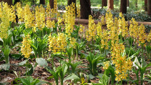 20100503_191shuusei.jpg