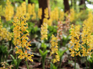 20100503_217shuusei.jpg