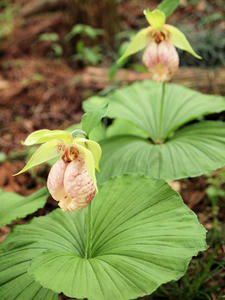 20100503_242shuusei.jpg