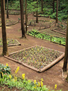 20100503_256shuusei.jpg